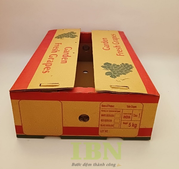 Mẫu thùng carton đựng nho hở nắp