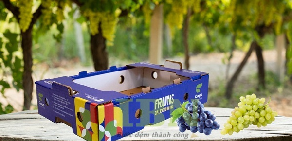 Mẫu thùng giấy carton đựng nho chất lượng