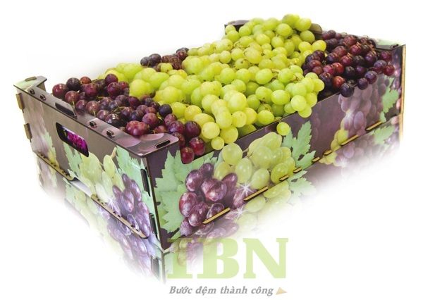 Mẫu thùng giấy carton đựng nho không nắp