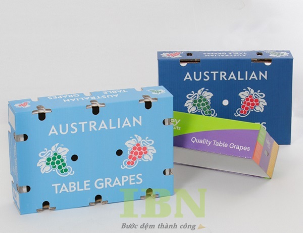 Mẫu thùng giấy carton đựng nho nhặp khẩu