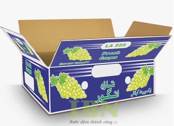Mẫu thùng giấy carton đựng nho nhặp khẩu chất lượng cao
