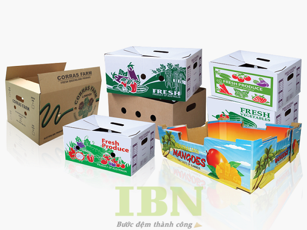 Mẫu thùng carton đựng nông sản thiết kế đa dạng