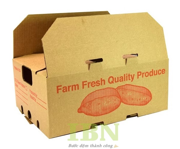 Mẫu thùng carton đựng nông sản nắp đối khẩu