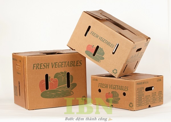 Mẫu thùng carton đựng ớt chuông, dưa chuột
