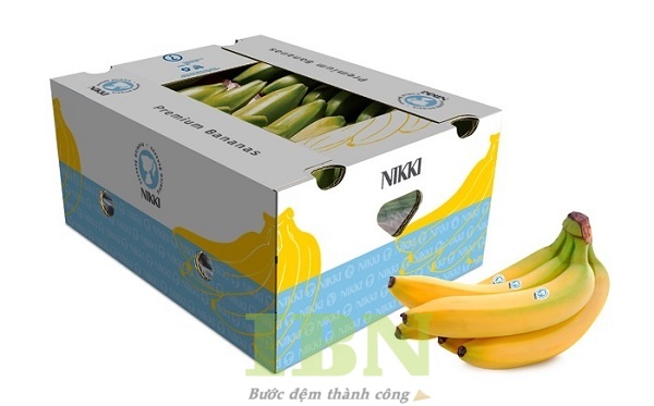 Mẫu thùng carton bồi đựng chuối