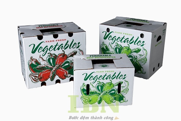 Mẫu thùng carton đựng rau củ quả