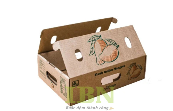 Mẫu thùng carton đựng xoài
