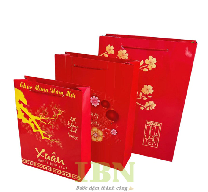 Mẫu túi giấy chúc mừng năm mới thiết kế sang trọng