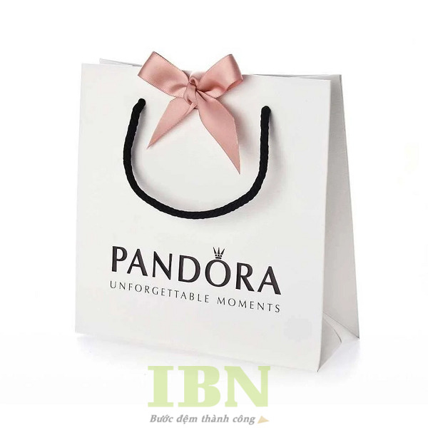 Đặc điểm nổi bật của túi giấy Pandora