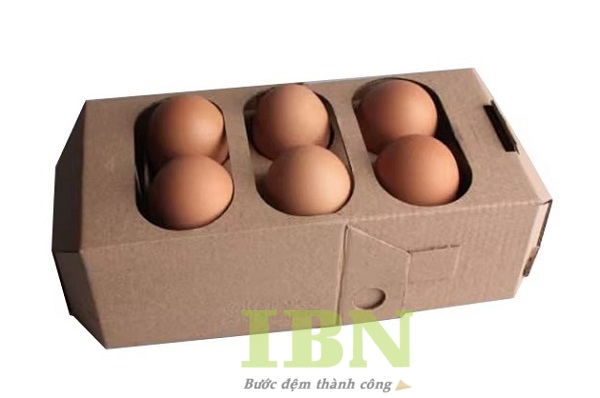 Hộp Carton Đựng Trứng 20 Quy cách in hộp giấy carton đựng trứng tại In Bảo Ngọc