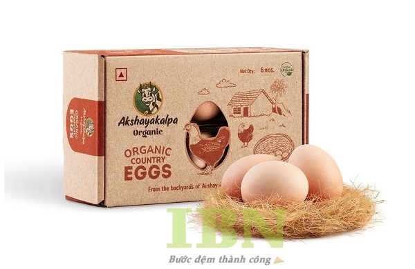 Mẫu hộp carton đựng trứng kiểu nắp gài chắc chắn