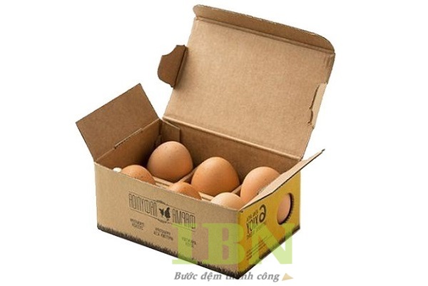 Mẫu hộp giấy carton đựng trứng kiểu nắp gài, có cửa sổ thông khí