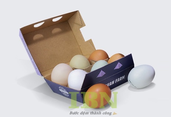 Mẫu hộp giấy carton đựng trứng vịt, trứng gà