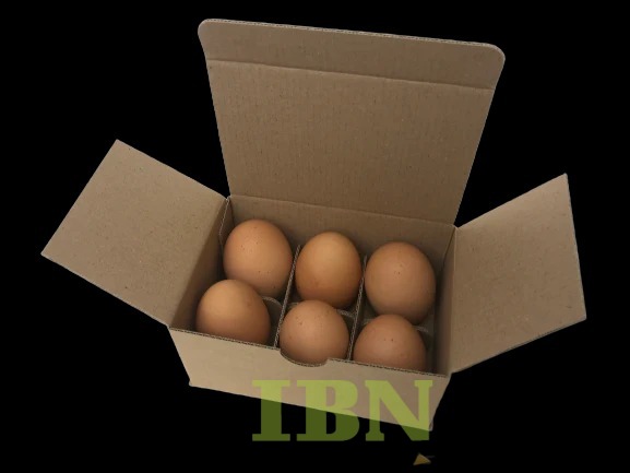 Mẫu hộp carton đựng trứng gà kiểu nắp gài đơn giản