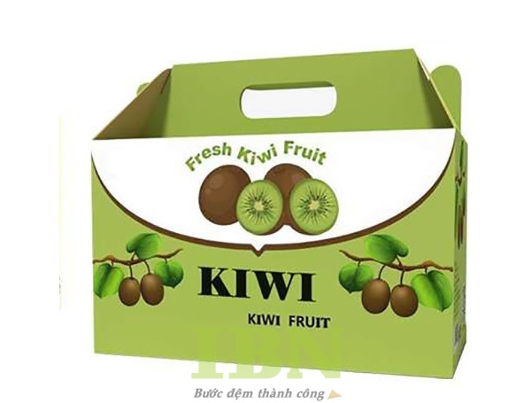 Mẫu hộp carton đựng kiwi có quai xách