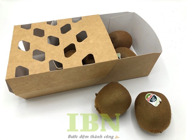 Mẫu hộp đựng kiwi thiết kế đơn giản