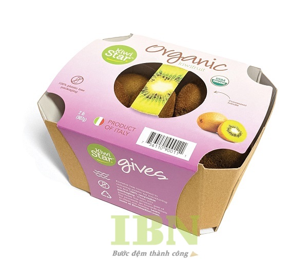 Mẫu hộp đựng kiwi kiểu dáng ấn tượng