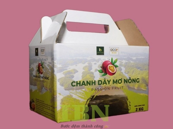 Mẫu hộp giấy carton đựng chanh dây có tay cầm tiện lợi