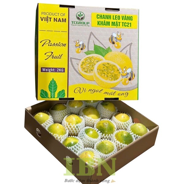 Mẫu hộp giấy carton đựng chanh dây thiết kế sang trọng