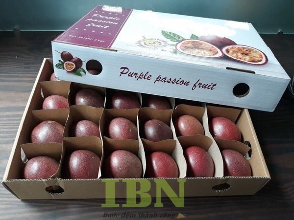 In Hộp Carton Đựng Chanh Dây 19 Những lợi ích vượt trội khi sử dụng hộp carton đựng chanh dây