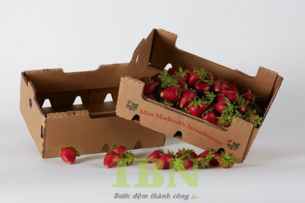 Mẫu hộp carton đựng dâu tây
