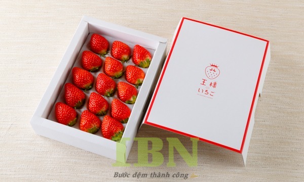 Mẫu hộp đựng dâu tây làm quà tặng nắp âm dương