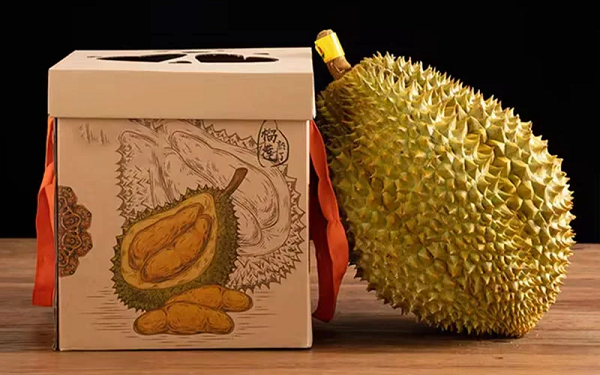 Tổng hợp các kích thước phổ biến của hộp carton có quai xách