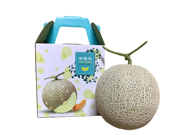 Địa chỉ đặt làm hộp carton có quai xách chất lượng, chuyên nghiệp tại TPHCM