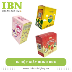 In hộp giấy blind box
