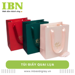 Túi giấy quai lụa