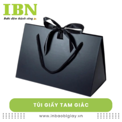 Túi giấy tam giác