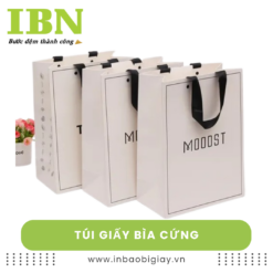 Túi giấy bìa cứng