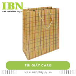Túi giấy caro
