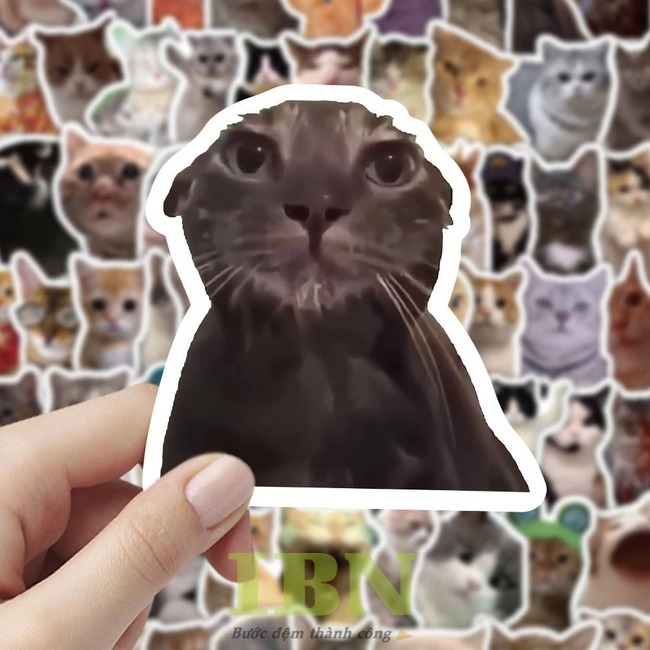 Mẫu sticker hình chú mèo hài hước, cute