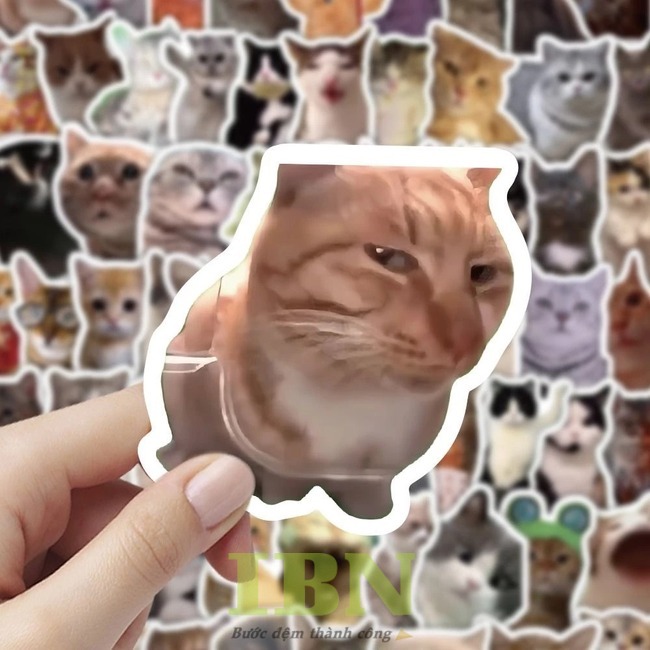 Mẫu sticker hình chú mèo hài hước, thái độ lồi lõm