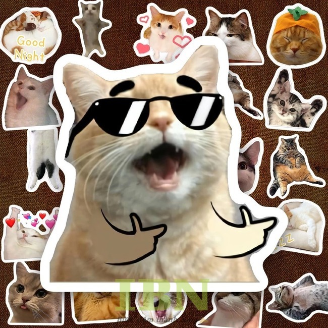 Mẫu sticker hài hước, cute