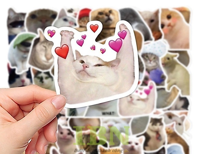Mẫu sticker hài hước, đáng yêu