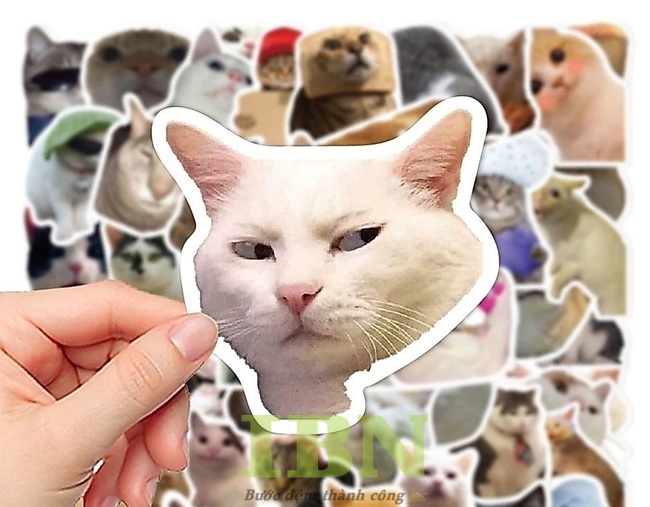 Mẫu sticker hài hước, xéo sắc