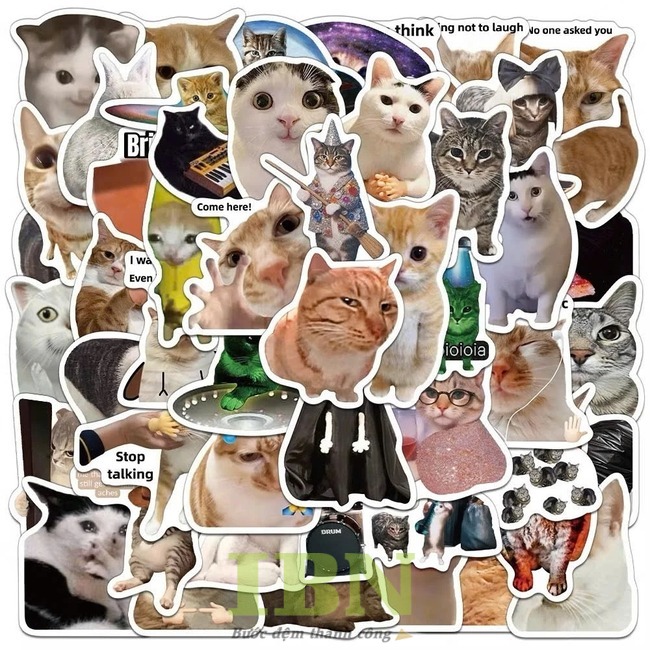 Các mẫu sticker hình mèo hài hước, đáng yêu