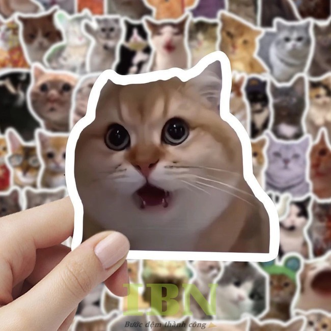 Mẫu sticker hài hước, ngạc nhiên