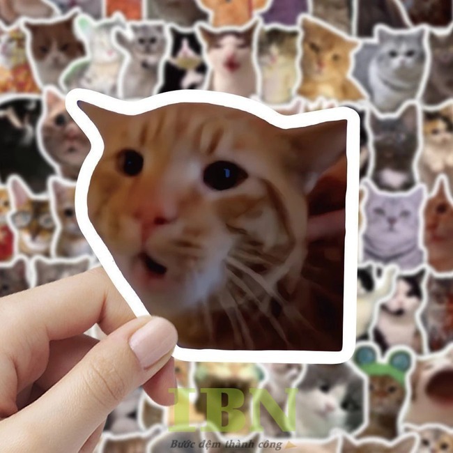 Mẫu sticker hài hước, thái độ