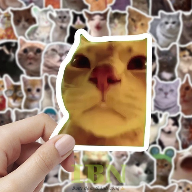Mẫu sticker hài hước hình chú mèo