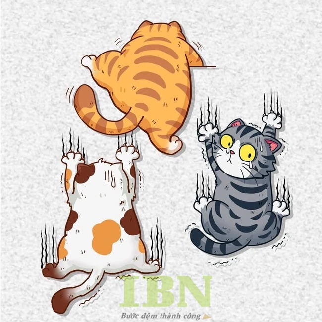 Mẫu sticker in hình chú mèo hài hước, cute