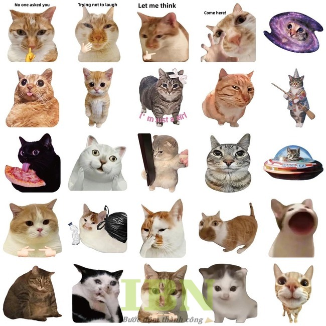 Mẫu sticker in hình chú mèo với nhiều biểu cảm hài hước, đáng yêu
