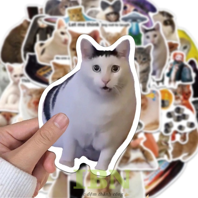Mẫu sticker hài hước, bất ngờ