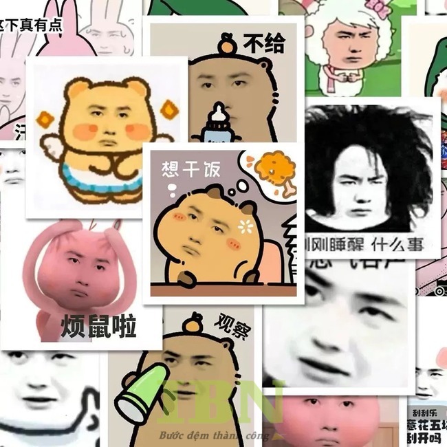 Mẫu sticker lầy lội, vui nhộn