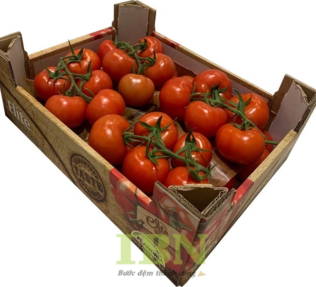 Mẫu thùng carton đựng cà chua không nắp