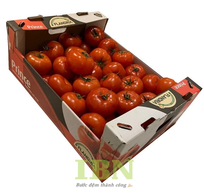 Mẫu thùng carton đựng cà chua bồi giấy couche