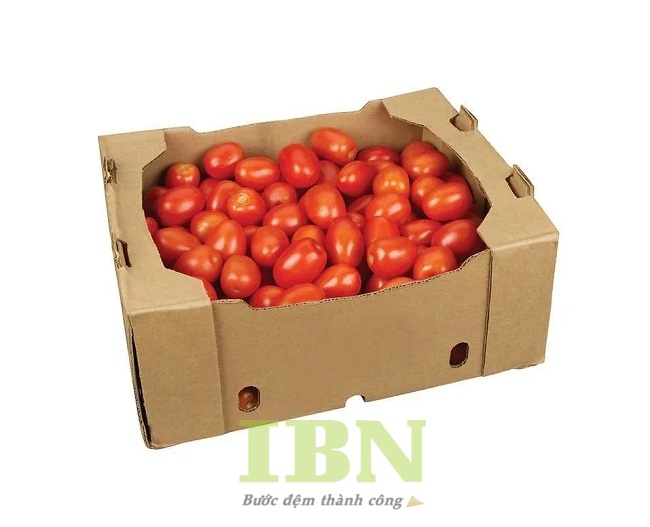 Mẫu thùng carton đựng cà chua thiết kế đơn giản