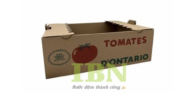 Mẫu thùng giấy carton 3 lớp đựng cà chua
